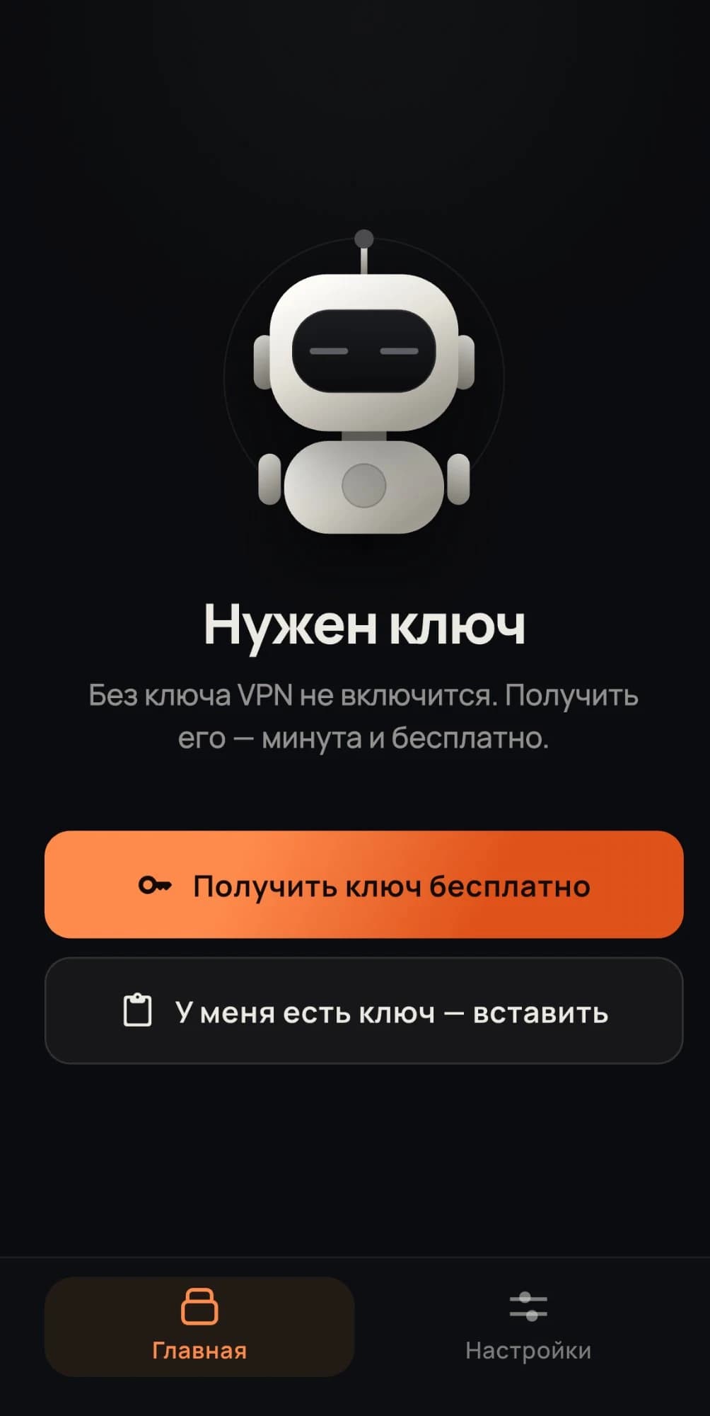 Главный экран приложения: получить или вставить ключ